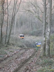 Le Bois de Mauran